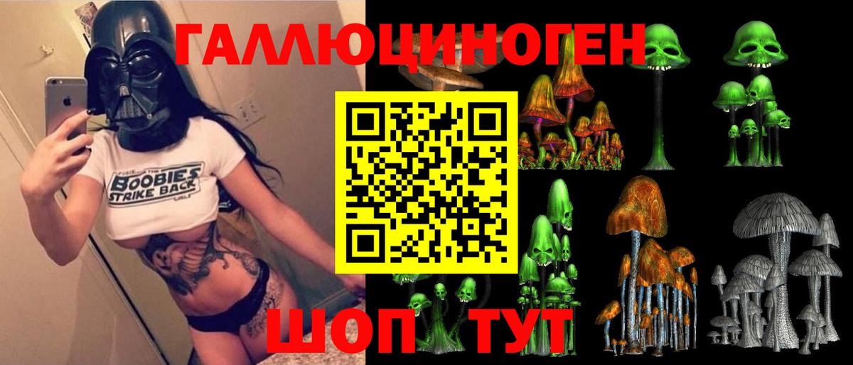 Улан-Удэ  Псилоцибиновые грибы мицелий  Галлюциногенные грибы Psilocybe  Вход с VPN 